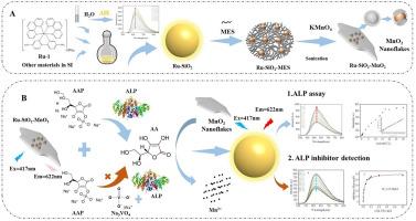 Aggregation-induced emission Ru(II) complex nanomaterials: Phosphorescent determination of alkaline phosphatase activity and inhibitors