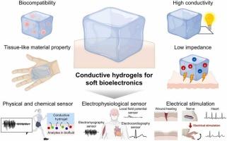 A review of conducting polymer hydrogels: Synthesis and characterization, and their sensors, and energy harvesting applications