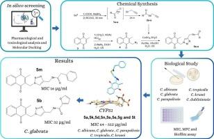 Antifungal profile of menadione tethered to 1H-1,2,3-triazolyl-selenoester: synthesis, in vitro and in silico analyses
