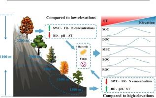 Critical role of mid-elevation in microbial regulation of soil carbon dynamics on the southern foothills of the Qinling Mountains