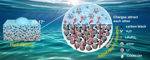 Efficient lithium extraction from salt lakes brine via regulating the electric double-layer interface of high-loading film electrodes with CMCLi