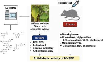 Study on the toxicity and in vitro and in vivo antidiabetic activities of Miliusa velutina stem bark ethanolic extract