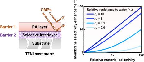 Direct effects of interlayer on organic micropollutants removal by thin-film nanocomposite membranes