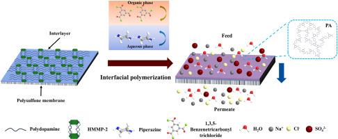 Fabrication of monovalent/divalent anionic salt separation membranes by polydopamine-assisted deposition of metal-induced microporous polymer as an interlayer