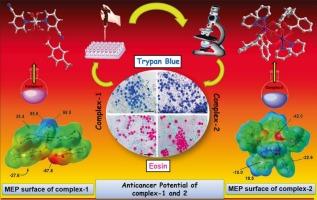 Supramolecular assemblies in mononuclear Zn(II) and dinuclear Co(II) coordination compounds involving pyridines and methyl benzoates: Antiproliferative evaluation and theoretical studies