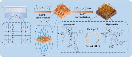 Reversible dual-stimuli responsive intelligent membrane prepared by RAFT polymerization for on-demand oil-water separation