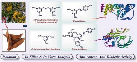 Novel metabolites from Pterocarpus marsupium: Structural characterization and biological relevance