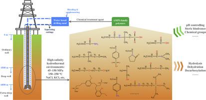 Failure mechanism analysis for AMPS-family polymers in high-salinity hydrothermal environments