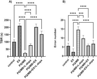 Therapeutic Effect of Physical Activity in a Male Wistar Rat Model of Paraquat and Maneb-Induced Parkinson’s Disease