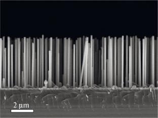 A Study of Elastic Light-Emitting Diode Based on CsPbBr3 Perovskite Film Crystallized on a Gallium Phosphide Nanowires Array