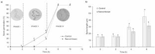 New observations in the spores and hyphae of Colletotrichum siamense exposed to nanochitosan particles