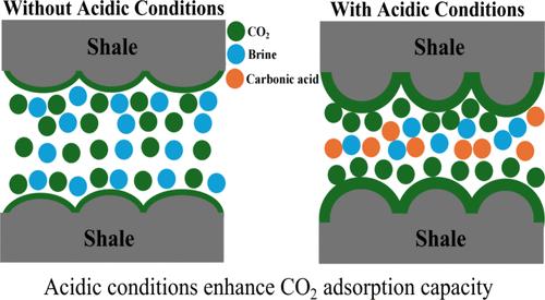 CO2 Adsorption in Shales under CO2 Dissolution-Induced Acidic Conditions: Experimental and Molecular Insights for Caprock Integrity