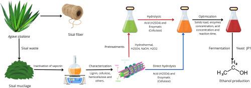 Development of the second-generation ethanol production process from sisal mucilage