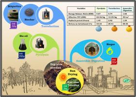 A comparative study on pine needle-based energy generation: Perspectives on techno-economics and sustainability