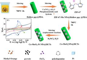 Novel tri-metallic (Cobalt, Molybdenum, Platinum) loaded hollow carbon nanotubes for acetaminophen electrochemical sensing