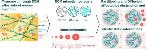 Diffusion of macromolecules in extracellular matrix mimetic hydrogels – effect of size and charge