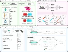 Genetic associations of metabolic factors and therapeutic drug targets with polycystic ovary syndrome
