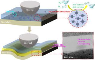 Multifunctional carbon dots: Versatile and high-efficiency additives for polyethylene glycol