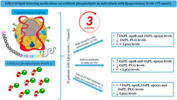 Effect of lipid-lowering medications on oxidized phospholipids in individuals with elevated LIPOPROTEIN(a)