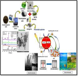 Eco-friendly synthesis and photocatalytic application of rGO-MgO nanocomposites for eosin Y dye degradation
