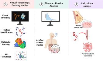 Identification and optimization of a novel phosphoinositide 3-kinaseγ (PI3Kγ) inhibitor as a potential anticancer agent against breast cancer