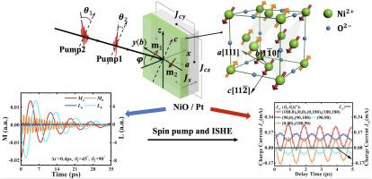 Selective optical excitation of high and low-frequency oscillation modes in NiO using double pump optical pulses