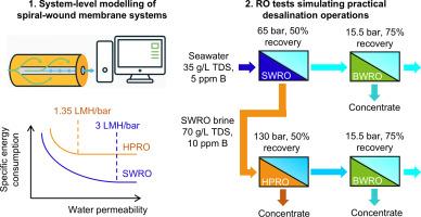 Quantifying the potential of high-performance RO membranes for seawater and hypersaline brine desalination: from module-scale modelling to experimental evaluation