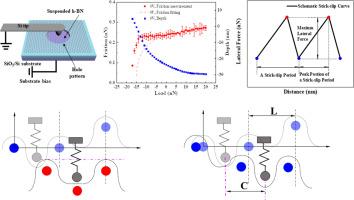 Flexible contact and friction of suspended h-BN dominated by adhesion