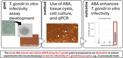 Development of an in vitro assay using abscisic acid to study Toxoplasma gondii infectivity
