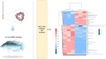 Investigating the impact of novel brominated flame retardants (NBFRs) on metabolite and nutritional profiles in aquatic organisms by in vivo solid-phase microextraction (SPME)