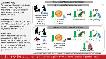 Repurposing statin treatment for the prevention of gallstone disease