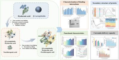 Comparative study of cross-linking strategies for β-lactoglobulin-hyaluronic acid-neochlorogenic acid ternary complexes: Structural characteristics and functional implications for curcumin delivery