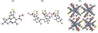 pH-Sensitive Paclitaxel Prodrug Incorporating Zanthoxylum bungeanum Extract for Targeted Non-Small Cell Lung Cancer Therapy
