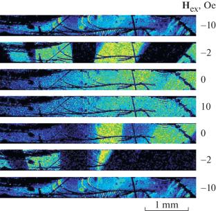 Evolution of the Magnetic Domain Structure in Iron Borate FeBO3 Single Crystals in External Fields according to X-ray Diffraction and Magneto-Optical Studies