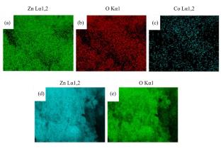 Development and Investigation of Co-Doped ZnO Photocatalysts for Organic Contaminant Degradation and Antimicrobial Activity