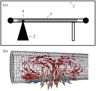 Protein Crystallization using a Temperature Gradient