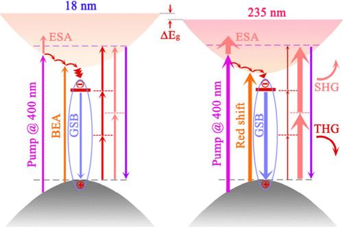 Mechanisms of Thickness-Dependent Nonlinear Optical Processes and Ultrafast Dynamics in NbOCl2