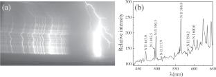 Number Density and Abundance of Atoms and Ions in the Channel Plasma of Lightning