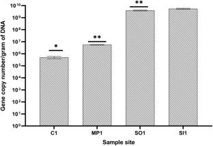 Metagenomic analysis reveals the influence of wastewater discharge on the microbial community structures and spread of antibiotic-resistant bacteria at Mohar river, Gujarat