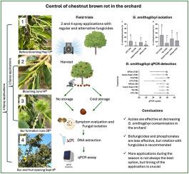 Field evaluation of chemical and biological products to control chestnut brown rot caused by Gnomoniopsis smithogilvyi in Michigan