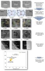 Vacuum heat treatment induced excellent low-temperature tensile performance of EAM fabricated 96 W alloys