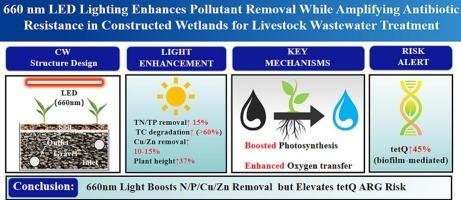 Dual effects of 660 nm LED lighting on pollutant removal and antibiotic resistance dynamics in constructed wetlands treating livestock wastewater