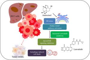 Antrocinol-mediated downregulation of ATG5 induces autophagy-dependent cell death and activates the unfolded protein response through PERK/CHOP signaling in lenvatinib-resistant hepatocellular carcinoma cells