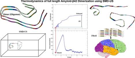 Thermodynamic and structural insights into full-length amyloid-β42 dimerization using enhanced sampling and MD-based techniques