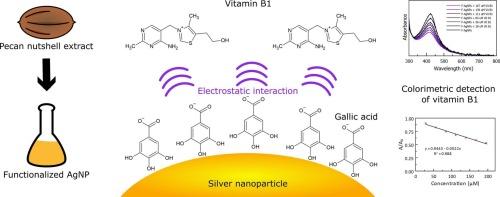 Surface functionalization of silver nanoparticles with pecan nutshell extract for the colorimetric detection of vitamin B1