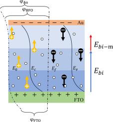 Introduction of built-in electric fields induced by oxygen vacancy gradient distribution to drive high-performance BiFeO3-based self-powered photodetectors