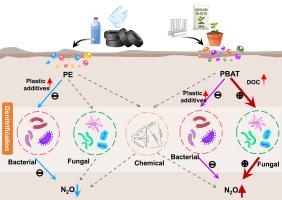 Biodegradable microplastics increase fungi-mediated N2O emission by rapidly releasing dissolved organic matters
