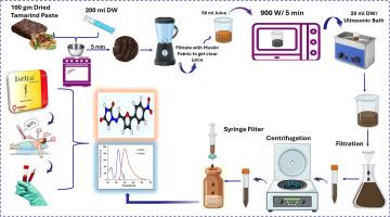 Transforming a traditional ethnic beverage into highly emissive CDs as a sensitive nanosensor for the anti-malignant hyperthermia drug dantrolene sodium in pharmaceuticals and plasma. An economic and sustainable approach