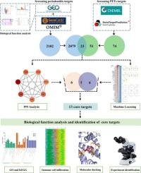 Integrated network toxicology, machine learning, molecular docking and experimental validation to elucidate mechanism of polyethylene terephthalate microplastics inducing periodontitis