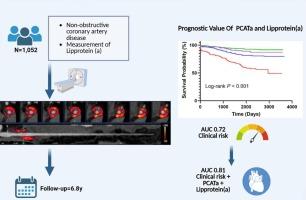 CCTA-quantified pericornary inflammation and lipoprotein (a): Combined predictive value in non-obstructive CAD